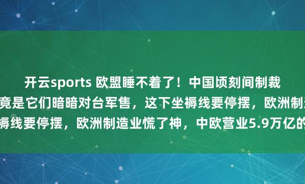 开云sports 欧盟睡不着了！中国顷刻间制裁7家欧洲军工企业，原因竟是它们暗暗对台军售，这下坐褥线要停摆，欧洲制造业慌了神，中欧营业5.9万亿的大生