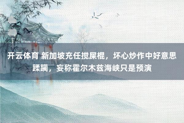 开云体育 新加坡充任搅屎棍，坏心炒作中好意思蹂躏，妄称霍尔木兹海峡只是预演