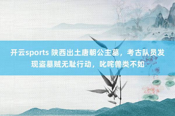 开云sports 陕西出土唐朝公主墓，考古队员发现盗墓贼无耻行动，叱咤兽类不如